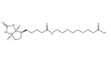 （+）-Biotin-PEG2-CH2CH2COOH