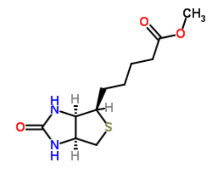 D-生物素甲酯 D-生物素甲酯