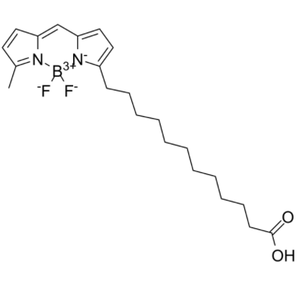 BODIPY 500/510 C1, C12 BODIPY 500/510 C1, C12