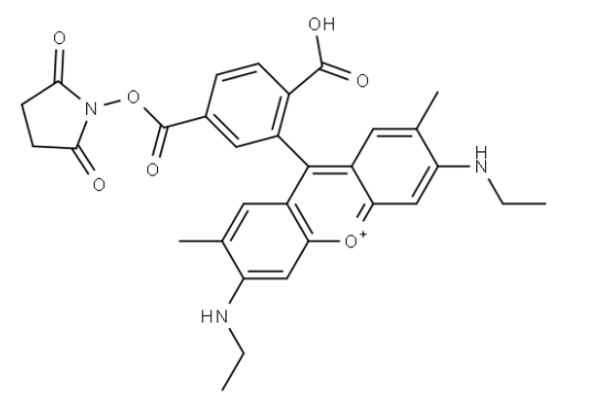 6-罗丹明6G-NHS 活化酯 6-罗丹明6G-NHS 活化酯