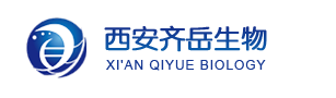 1753862981721664.png pg电子娱乐游戏app
3.png