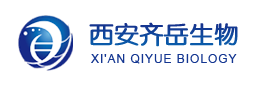 CAP-PVAm-PLGA，CAP-聚乙烯亚胺-聚乳酸羟基乙酸共聚物