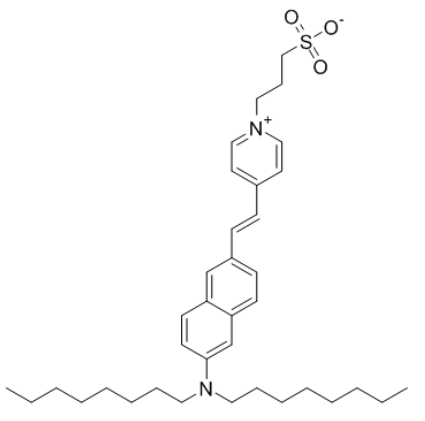 Di-8-ANEPPS Di-8-ANEPPS