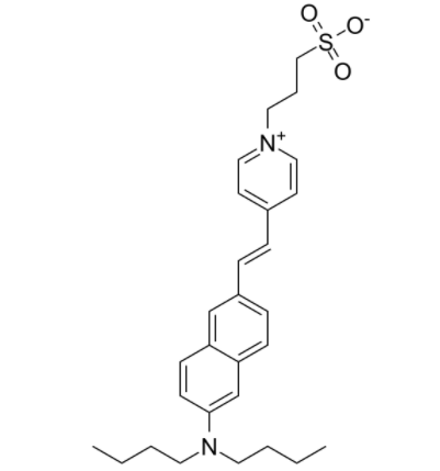 Di-4-ANEPPS 