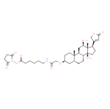 地高辛NHS酯	 