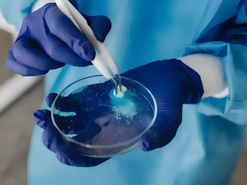 FAM-Ac-IHIHIYI-NH2 FAM-Ac-IHIHIYI-NH2