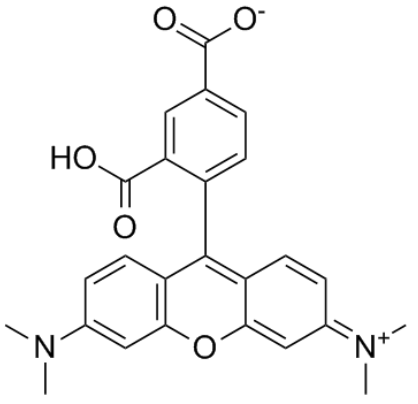 5-羧基四甲基罗丹明 5-羧基四甲基罗丹明