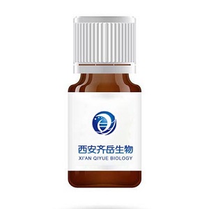 CY5.5-Angiopep-2