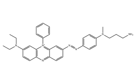 BHQ-3 氨基 BHQ-3 氨基