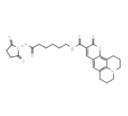 Coumarin-343 X NHS ester Coumarin-343 X NHS ester