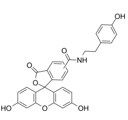 Fluorescein tyramide Fluorescein tyramide