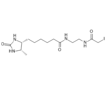 1754552851135733.png image.png