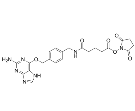 2-Aminopurine-O-Ph-NHCO-C3-NHS ester 2-Aminopurine-O-Ph-NHCO-C3-NHS ester