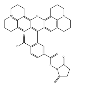 INDEX NAME NOT YET ASSIGNED INDEX NAME NOT YET ASSIGNED