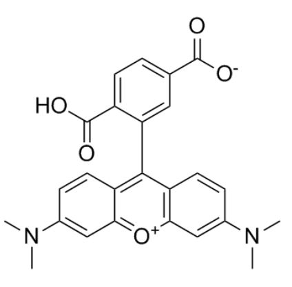 1755158594811676.png image.png