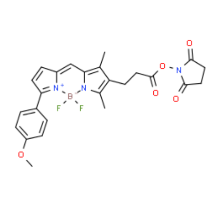 BDP TMR NHS ester BDP TMR NHS ester