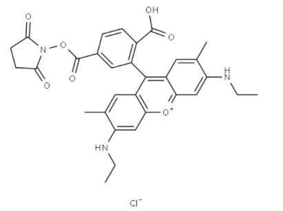 6-罗丹明6G-NHS 活化酯 6-罗丹明6G-NHS 活化酯