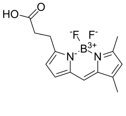 1755503061233548.png image.png