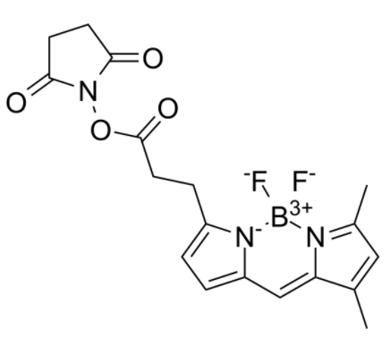 BDP FL NHS Ester BDP FL NHS Ester