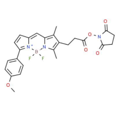 BDP TMR NHS ester BDP TMR NHS ester