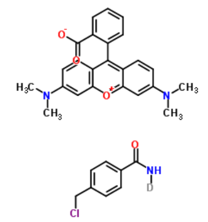 Cell-TrackerOrange CMTMR Cell-TrackerOrange CMTMR