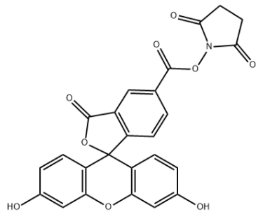 5-Carboxyfluorescein N-succinimidyl ester 5-Carboxyfluorescein N-succinimidyl ester