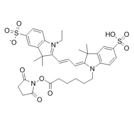 Cyanine 3, SE Cyanine 3, SE