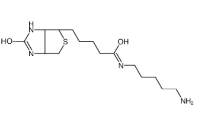 生物素-C5-胺 生物素-C5-胺