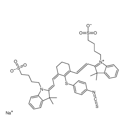 NIR797-异硫氰酸酯 NIR797-异硫氰酸酯