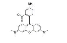 80724-17-0,5-Aminotetramethylrhodamine 80724-17-0,5-Aminotetramethylrhodamine