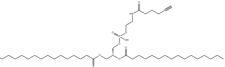 DPPE-Alkyne DPPE-Alkyne