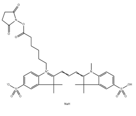 Sulfo-Cy3 NHS 酯 Sulfo-Cy3 NHS 酯