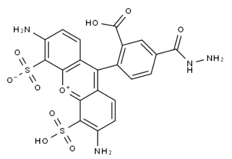 BP Fluor 488 Hydrazide BP Fluor 488 Hydrazide