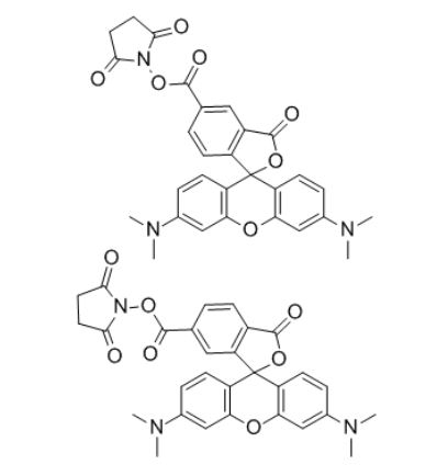 5(6)-TAMRA SE 5(6)-TAMRA SE