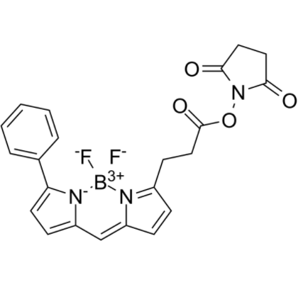 BIODIPY R6G ester BIODIPY R6G ester