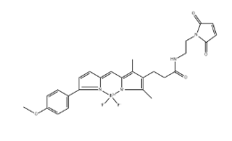 Geldanamycin-FITC