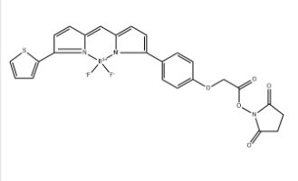 BDP TR NHS Ester BDP TR NHS Ester