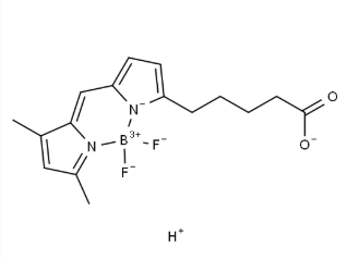 217075-24-6 217075-24-6