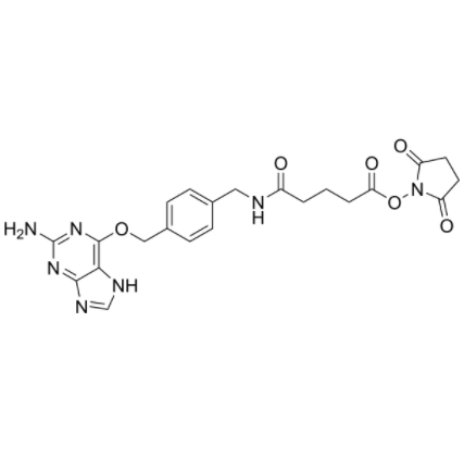 2-Aminopurine-O-Ph-NHCO-C3-NHS ester 2-Aminopurine-O-Ph-NHCO-C3-NHS ester