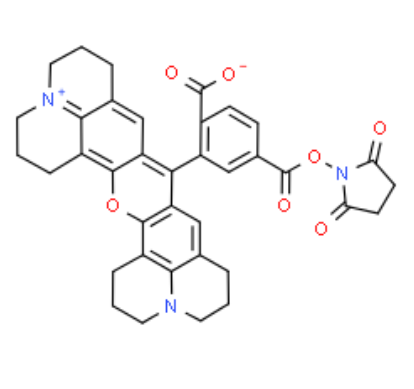 6-ROX NHS 活化酯 6-ROX NHS 活化酯