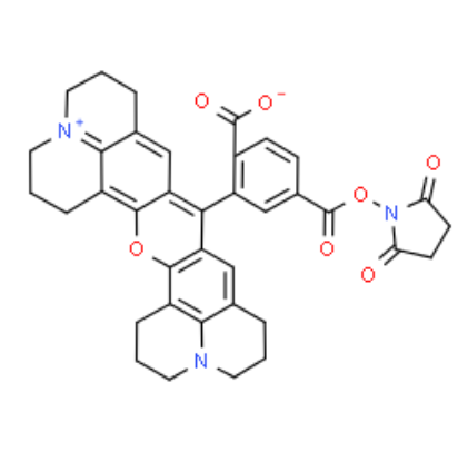 6-ROX NHS 活化酯 6-ROX NHS 活化酯