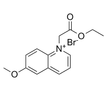 MQAE氯离子荧光探针 