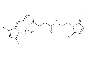 BDP FL Maleimide BDP FL Maleimide