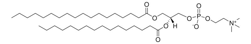 18:0-16:0 PC，CAS:59403-53-1，1-硬脂酸-2-棕榈酰磷脂酰胆碱