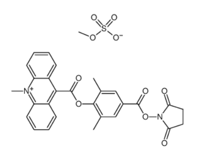 吖啶盐(DMAE-NHS) 吖啶盐(DMAE-NHS)