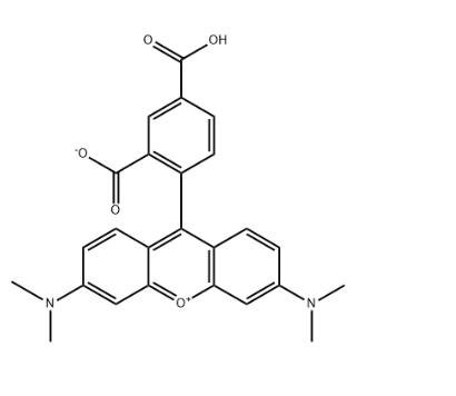5-Carboxytetramethylrhodamine