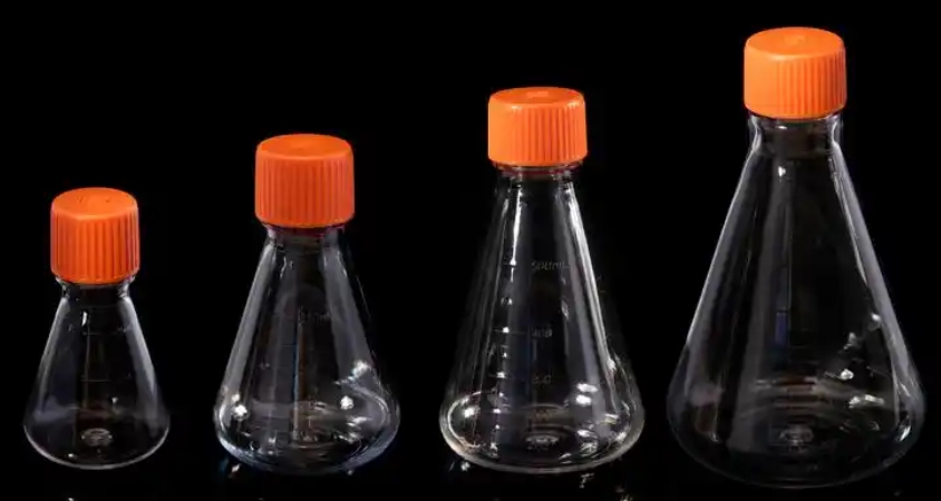 Annexin V Biotin Annexin V Biotin