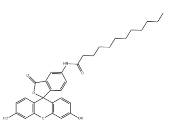 107827-77-0 107827-77-0