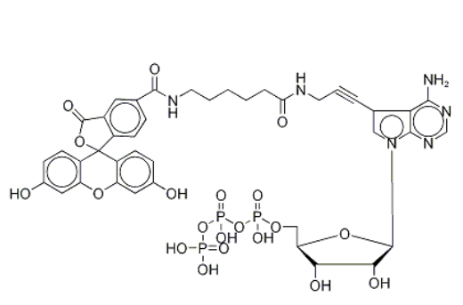 1757315352682049.png image.png