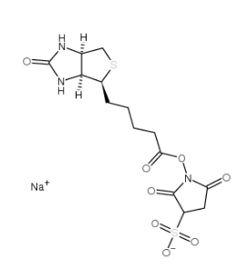119616-38-5 119616-38-5